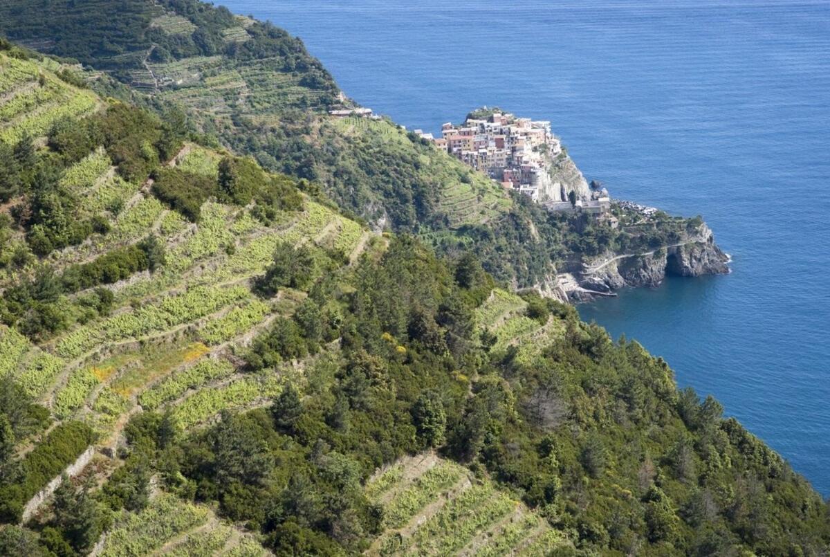 La Casa Fra Gli Ulivi Luxury Apartments With Pool Near Cinque Terre And Tuscany Monte Marcello Exterior photo